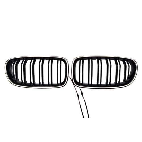 Grill dabell BMW 5 F10 me led